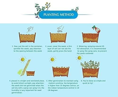 Mix Colour Bougainvillea Flower Seeds For Home Garden (Flat 33% Off)