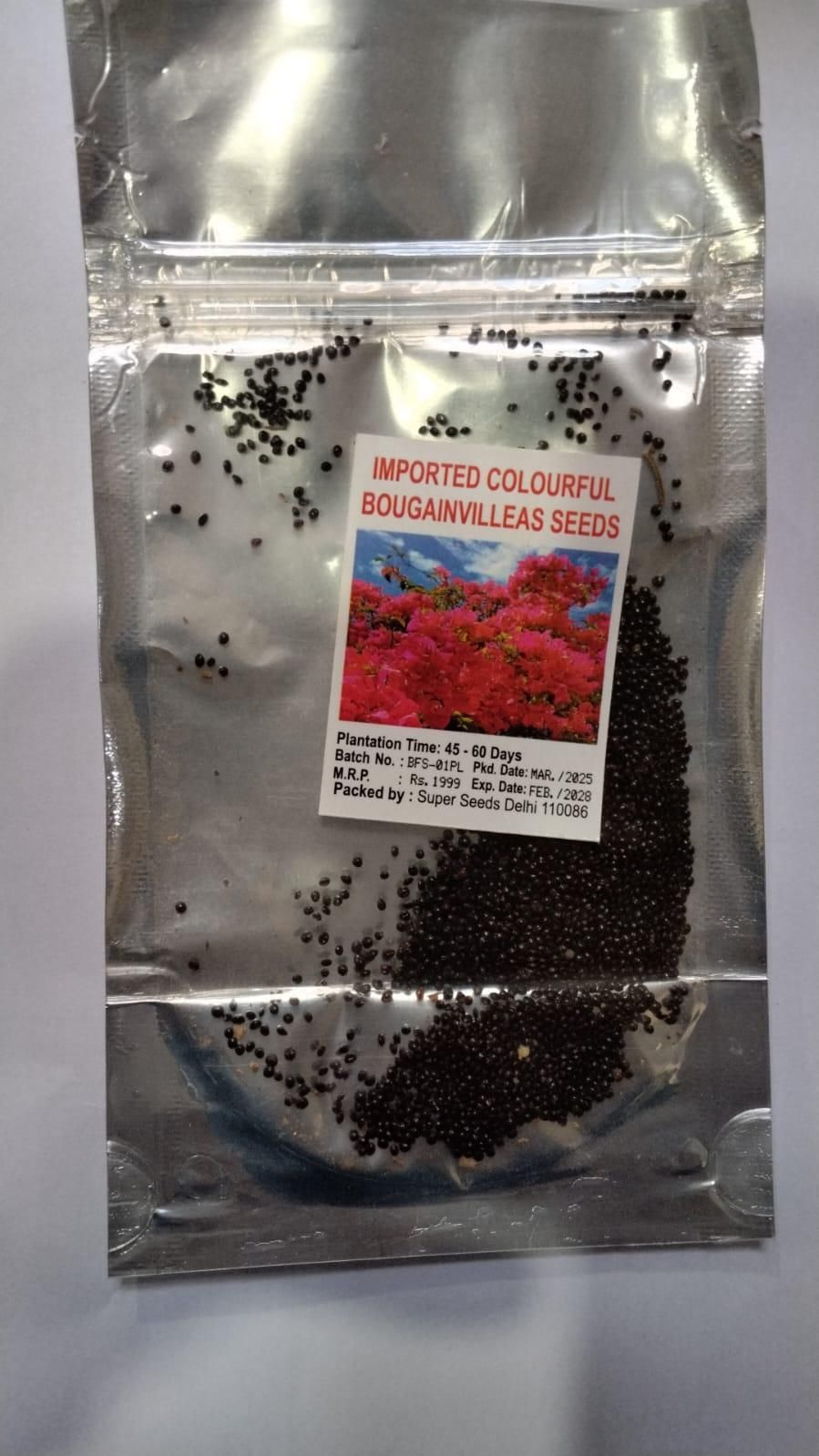 Mix Colour Bougainvillea Flower Seeds For Home Garden (Flat 33% Off)