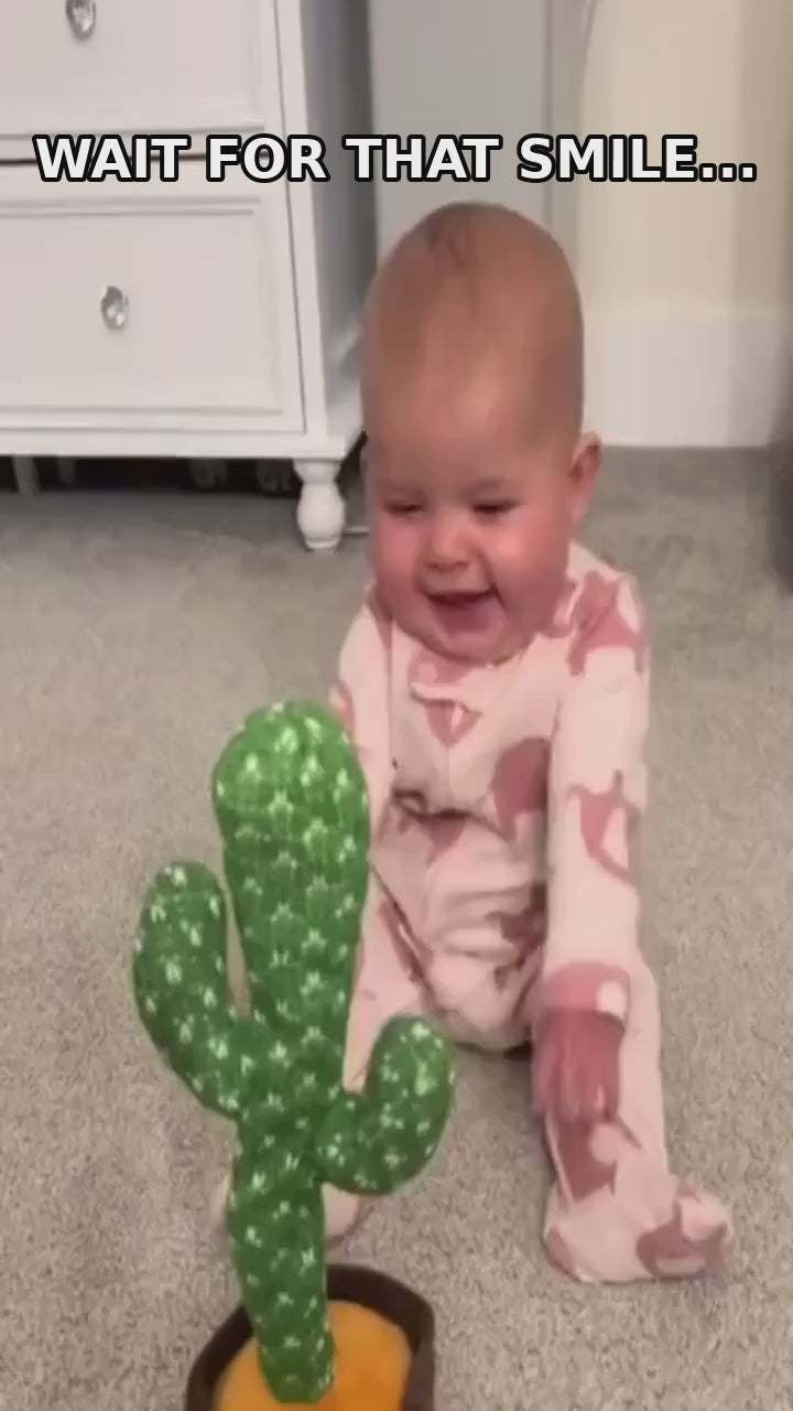Dancing Cactus Toy
