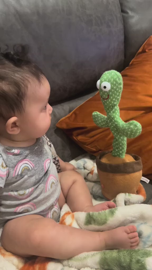 Dancing Cactus Toy